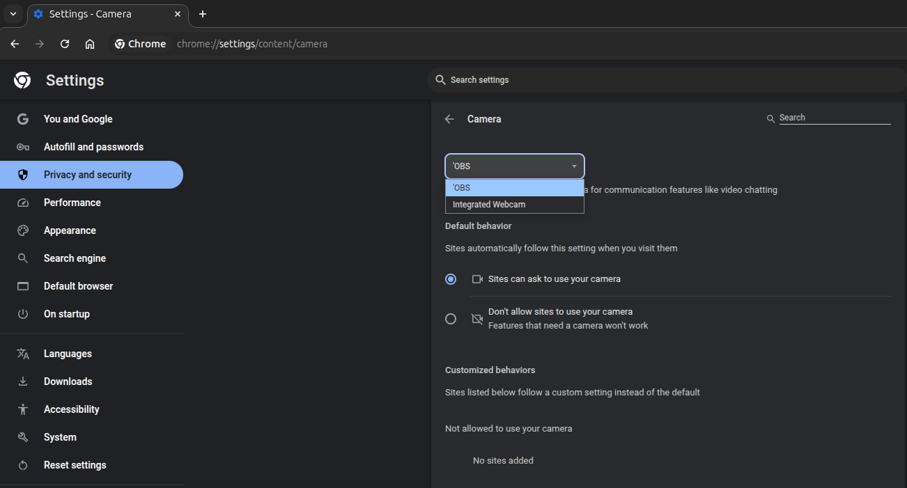 Chrome settings - Camera source settings window